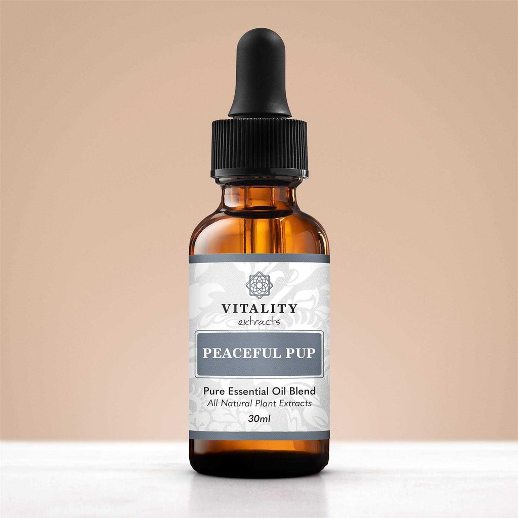 Dog Anxiety & Stress Relief Roll-on Z4441