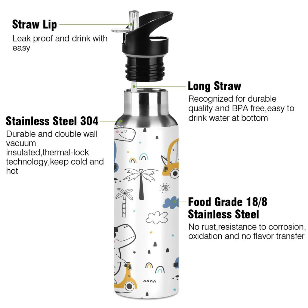 Stainless Steel Insulated Water Bottle with Straw Lid O232