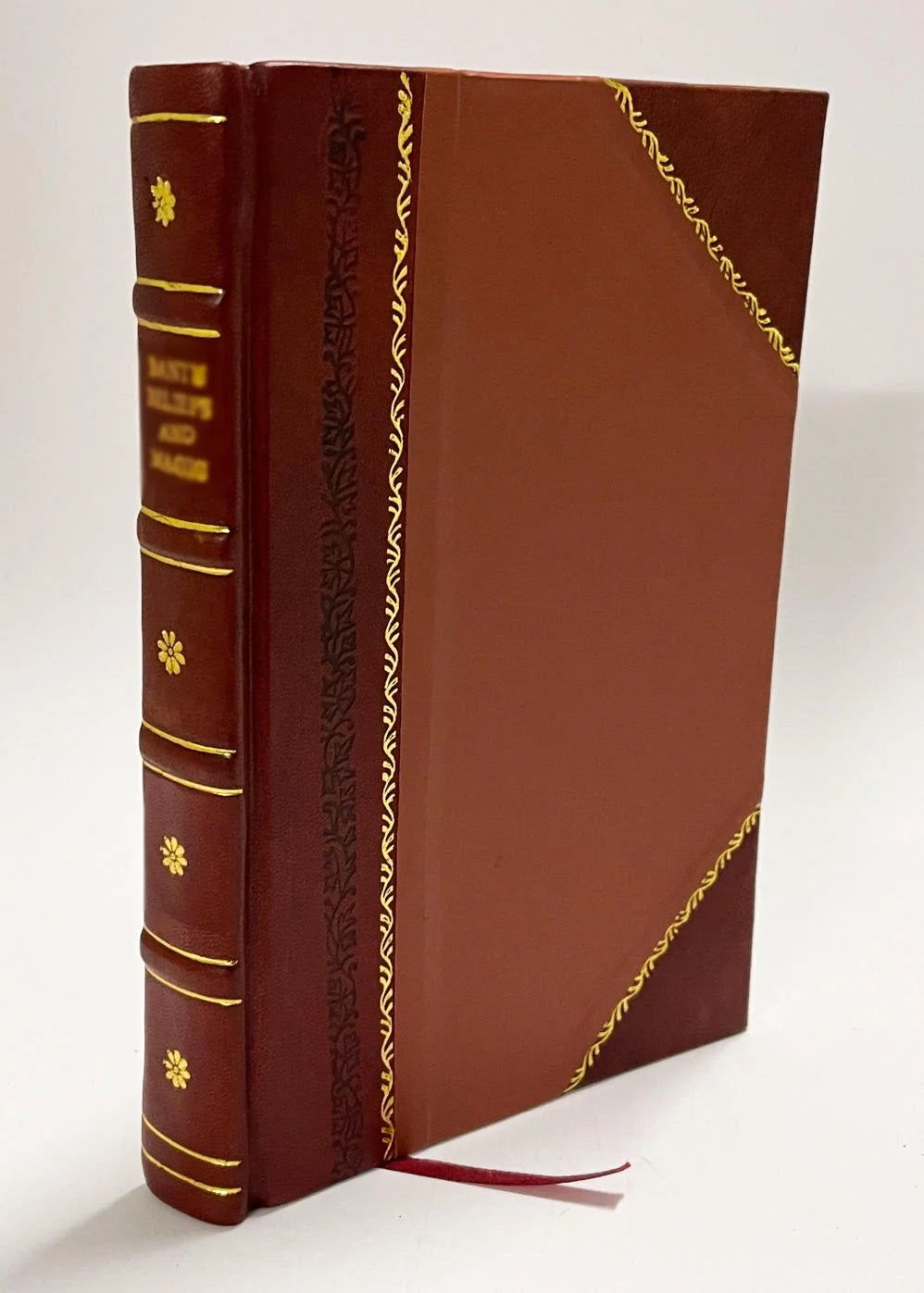 Irish-English Dictionary R278