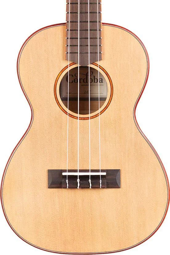 Tenor Ukulele Y18069