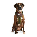 Dog Harness N8022