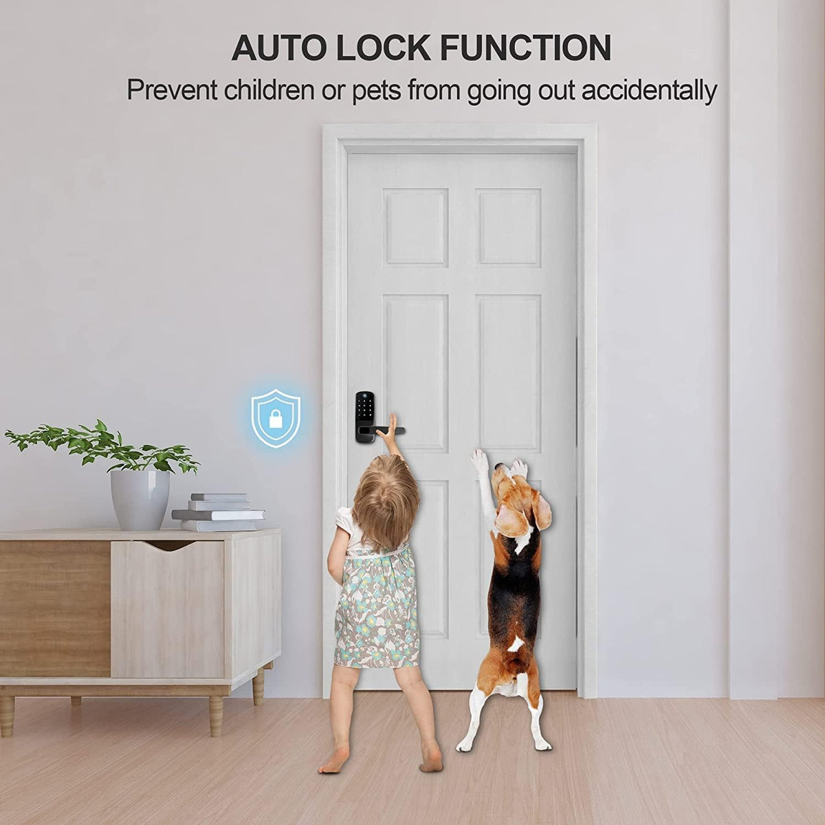 Black 5-in-1 Smart Door Lock with Keypad N1328