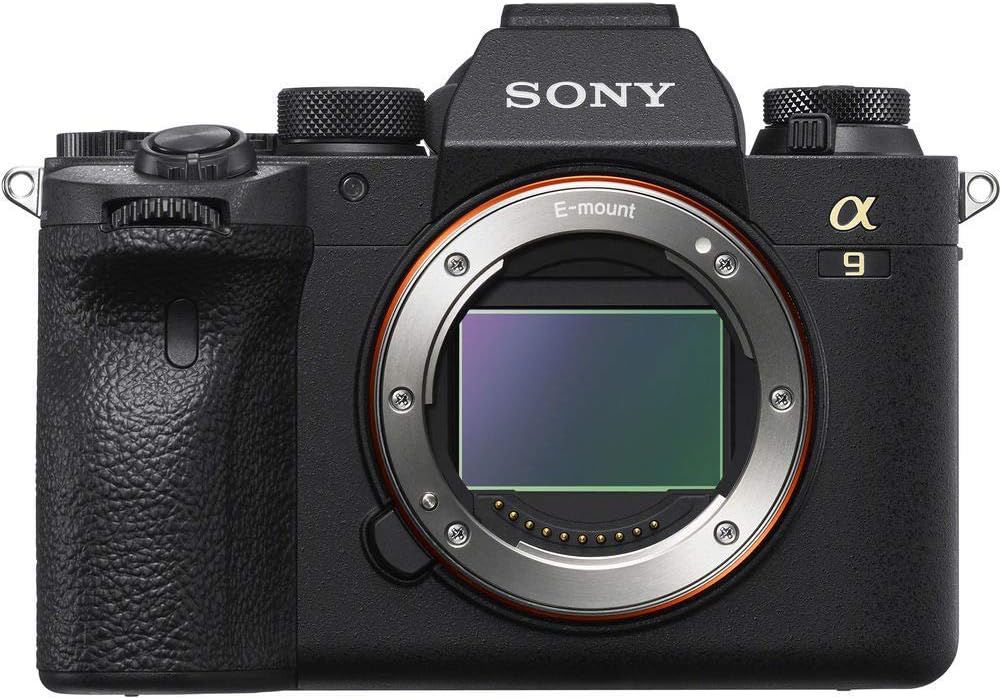 Mirrorless Digital Camera Body Only with 200-600mm Lens, 64GB Memory Card, 2 x NP-FZ-100 Battery, Case, External Charger (Renewed) G6415
