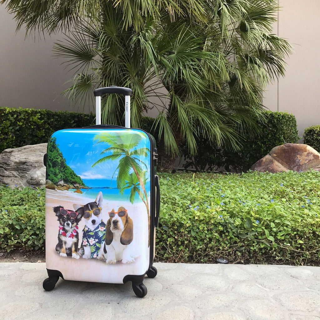 3-Piece Hardside Expandable Spinner Luggage Set L465772