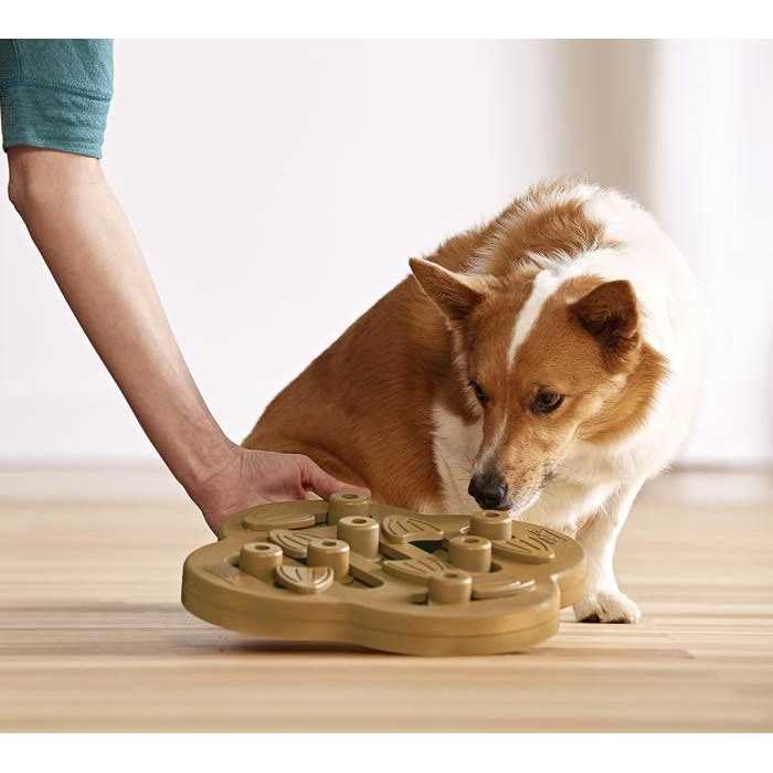 Hide N Slide Puzzle Dog Toy P832174