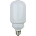 Compact Fluorescent Light Bulb A644