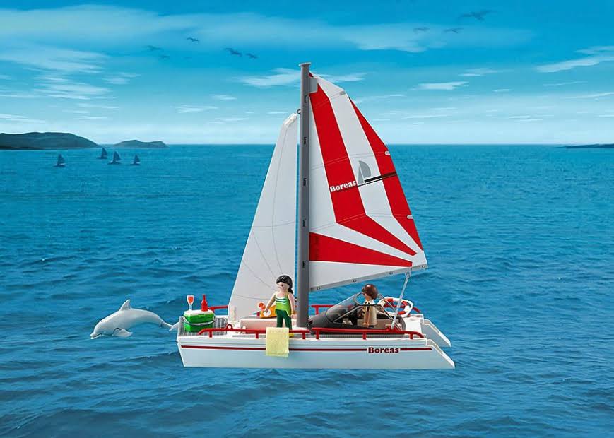Catamaran with Dolphins R64415