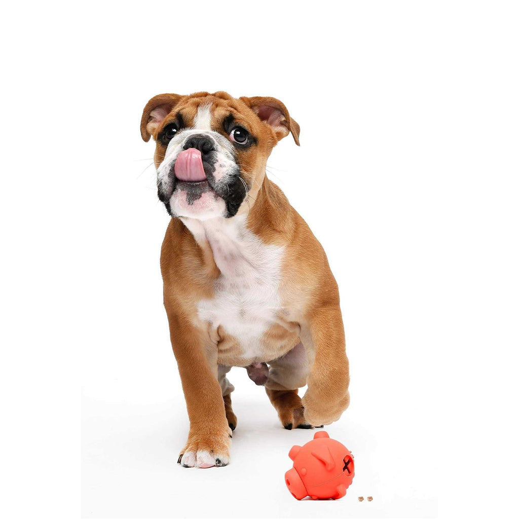 Dog Toy S23016