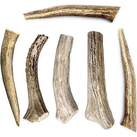 All Natural Whole Deer Antler Dog Chew Treats S959
