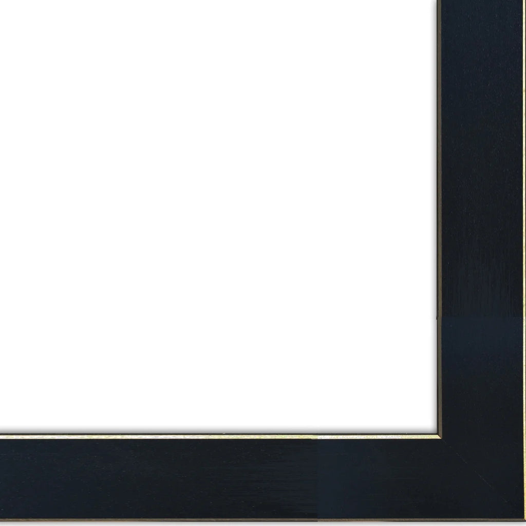 2-Piece Ready to Hang Framed Print, Black Frame G9861