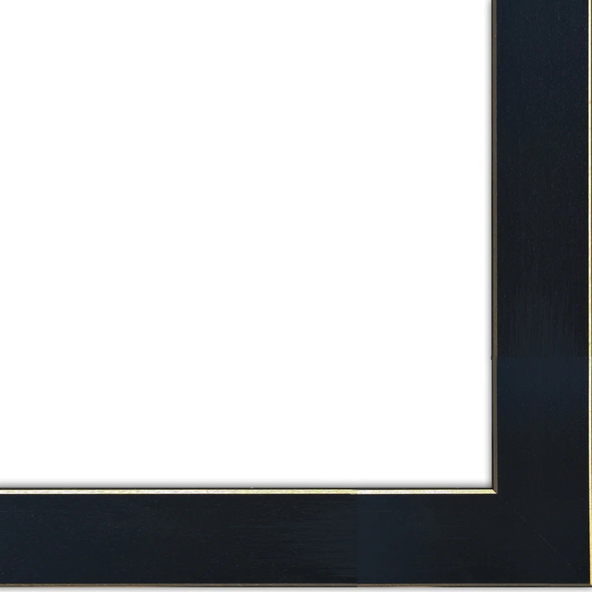 2-Piece Ready to Hang Framed Print, Black Frame G9861