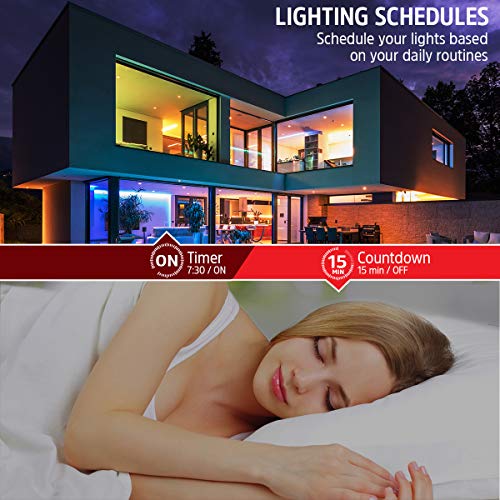 6.5ft Dimmable Multi-Color LED Light Strip W24824