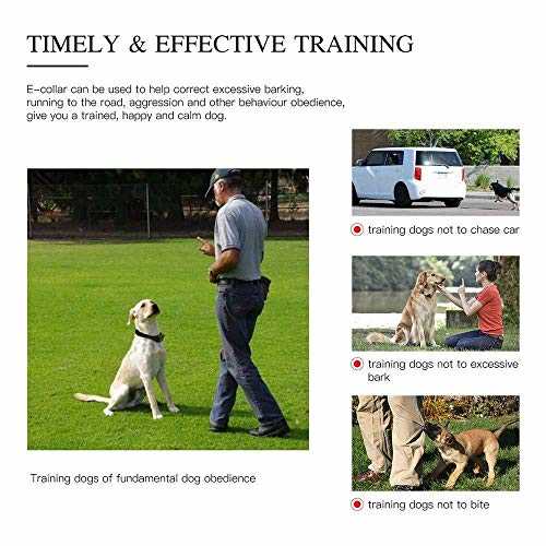 Waterproof Rechargeable Dog Shock Collar with Remote N932