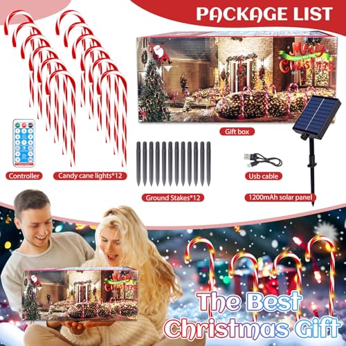 12 Pack Solar Christmas Pathway Stake Lights W1016