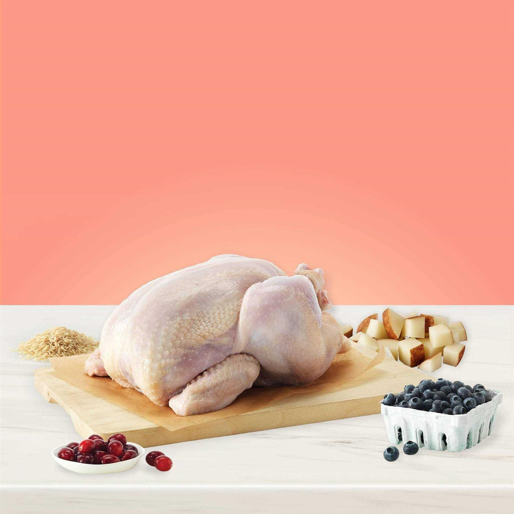 Chicken Adult Dry Dog Food L41831