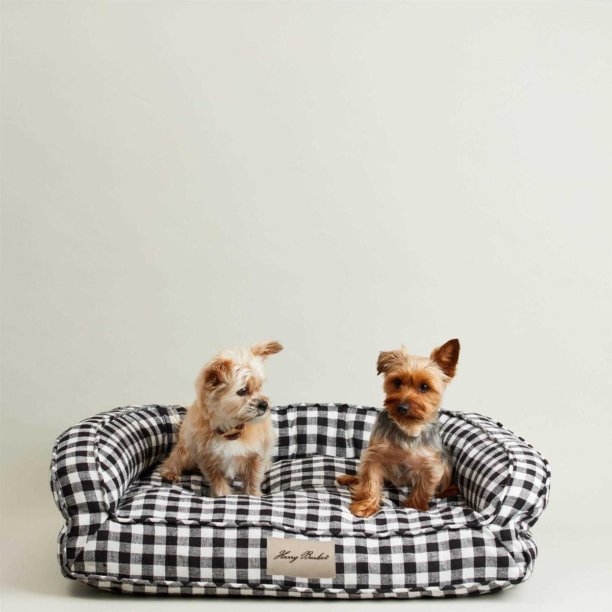 Buffalo Check Lounger Q710166
