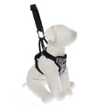 Dog Travel Harness S31041