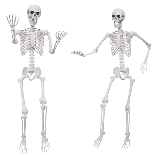 5.4Ft Posable Plastic Skeletons 2Pack E72803