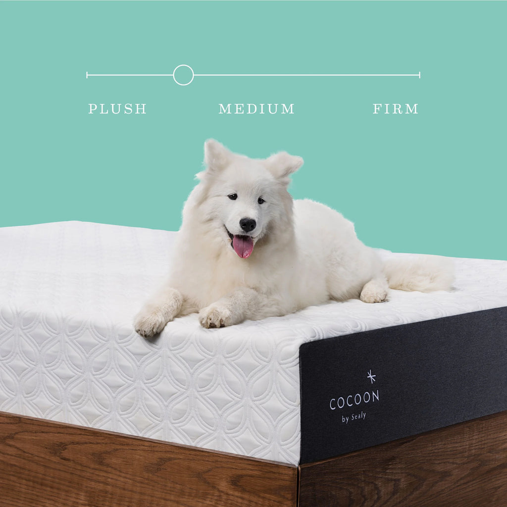 10 Medium Gel Memory Foam Mattress, Queen X5368