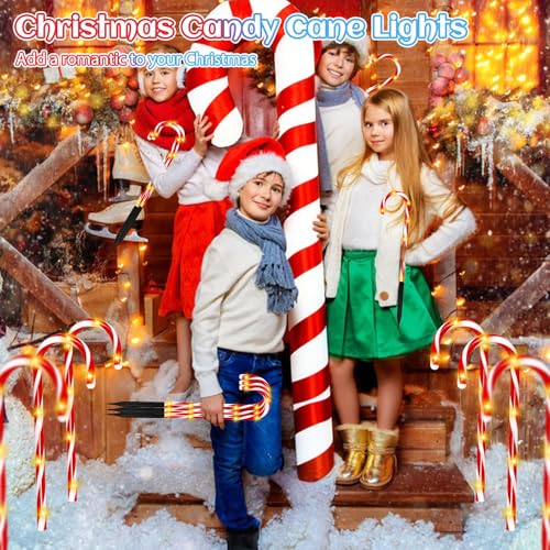 12 Pack Solar Christmas Pathway Stake Lights W1016