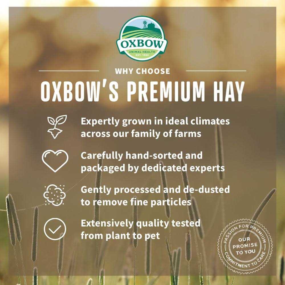 Oat Hay Pet Supplies L231620