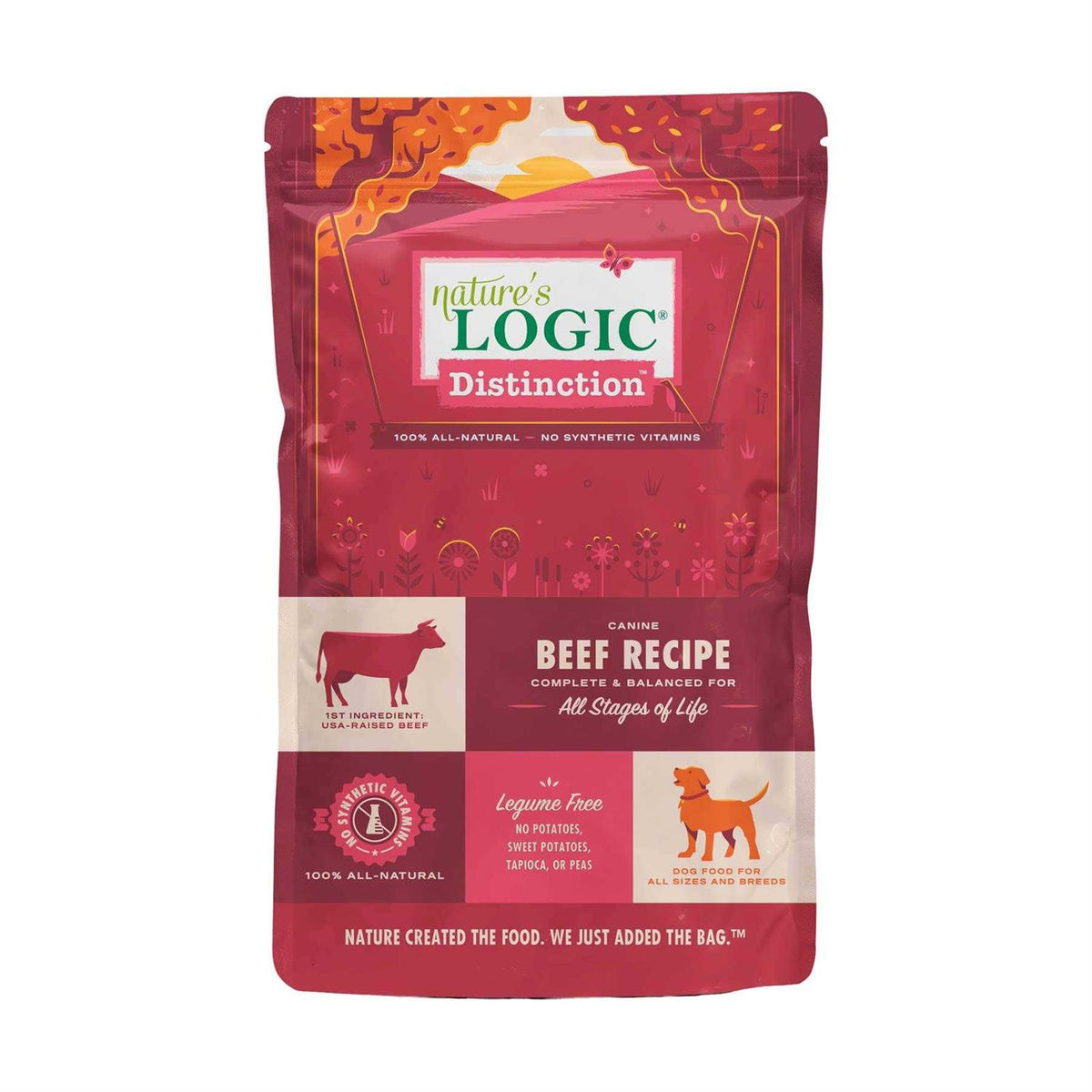 Beef Recipe Dry Dog Food R266650