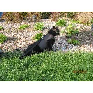 Cat Harness P80373