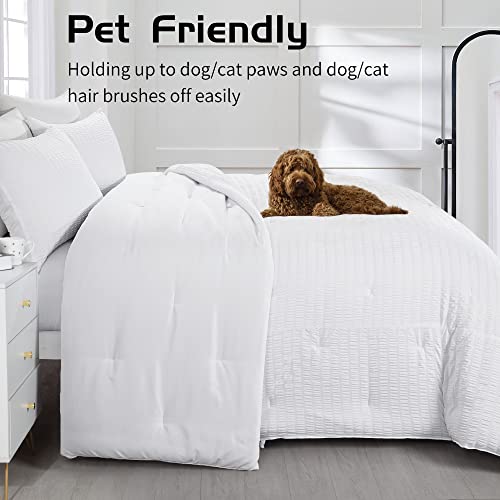Oversized King White Seersucker Comforter 3 Piece Set L91687