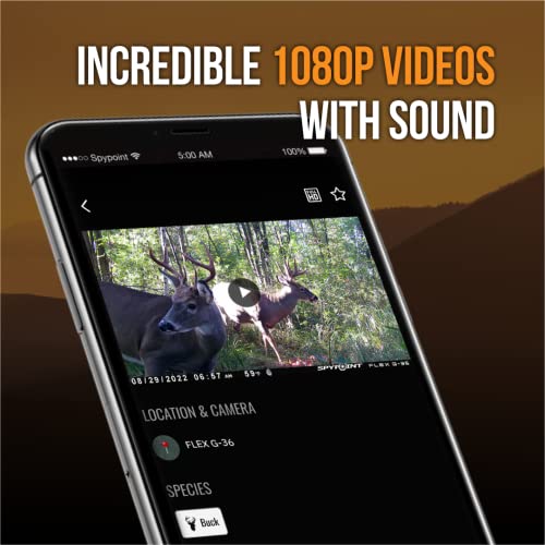 36MP Cellular Trail Camera with 1080p Video and GPS V310498