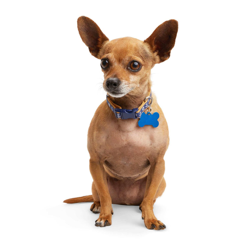 Dog Collar M180
