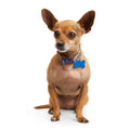 Dog Collar M180