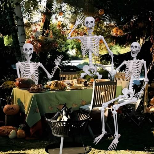 5.4Ft Posable Plastic Skeletons 2Pack E72803