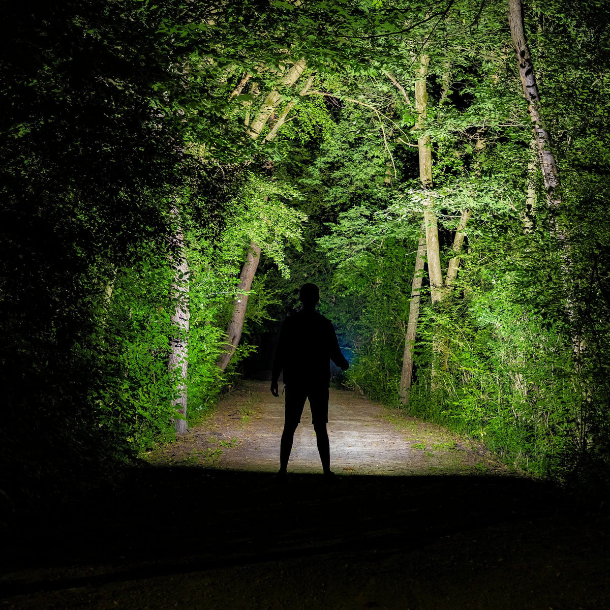 Rechargeable COB LED 1000 Lumens Tactical Flashlight M13745