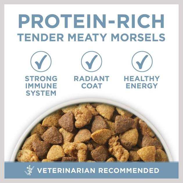 Dry Dog Food E5779