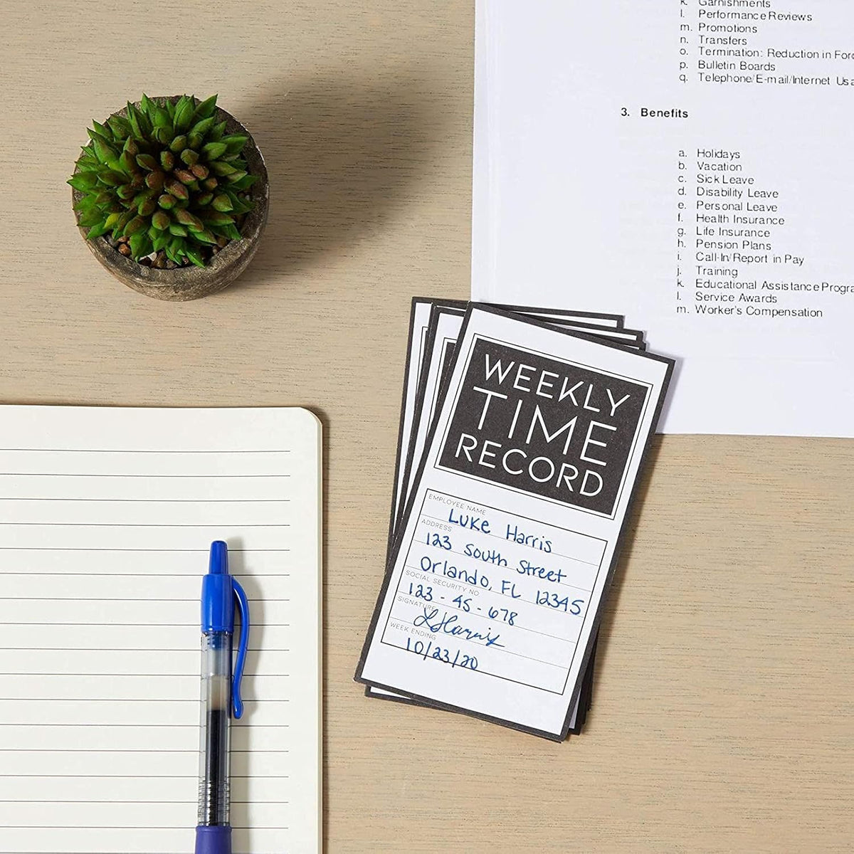 200 Pack Trifold Time Cards (5 x 8 in) G10624