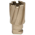 22mm x 19mm Carbide Annular Cutter L79936