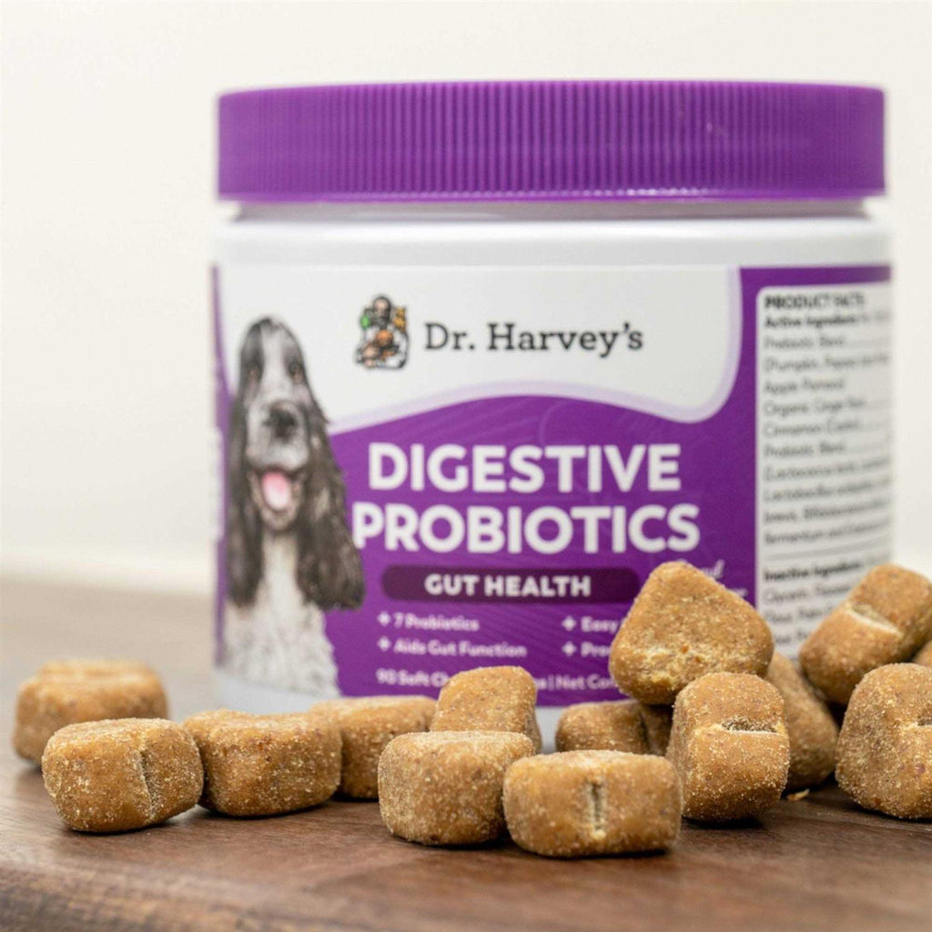 Probiotics Gut Health for Dogs Soft Chews W9729