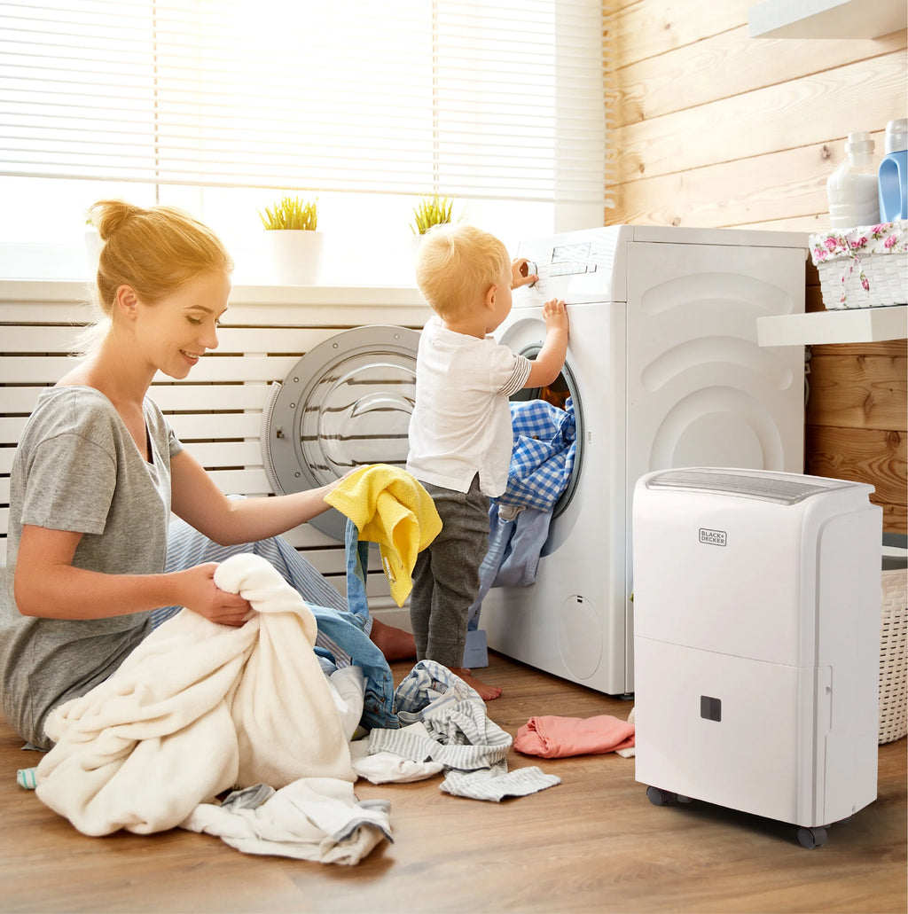 20-Pint Portable Dehumidifier N221
