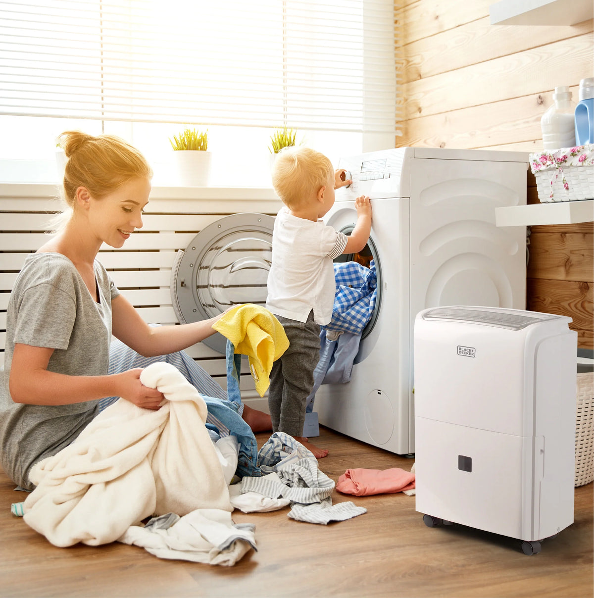 20-Pint Portable Dehumidifier N221