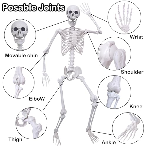 5.4Ft Posable Plastic Skeletons 2Pack E72803