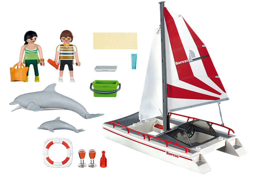 Catamaran with Dolphins R64415