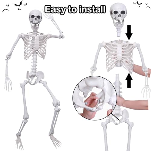 5.4Ft Posable Plastic Skeletons 2Pack E72803