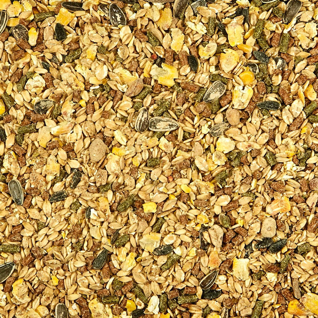 Mouse Rat Food K83101