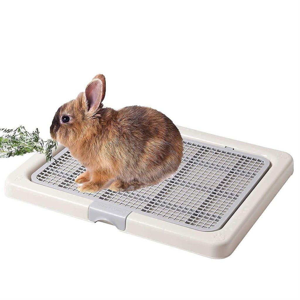 3 Sizes Small Puppy Dog Toilet Training Tray Pet Pads Holder S15564