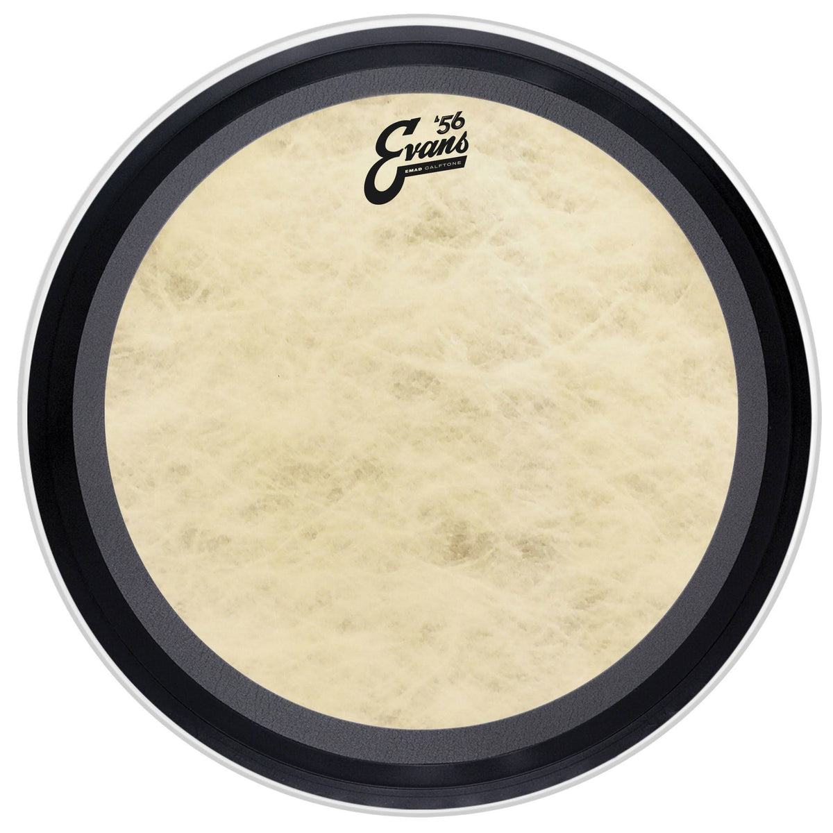 16 Tom Head C333
