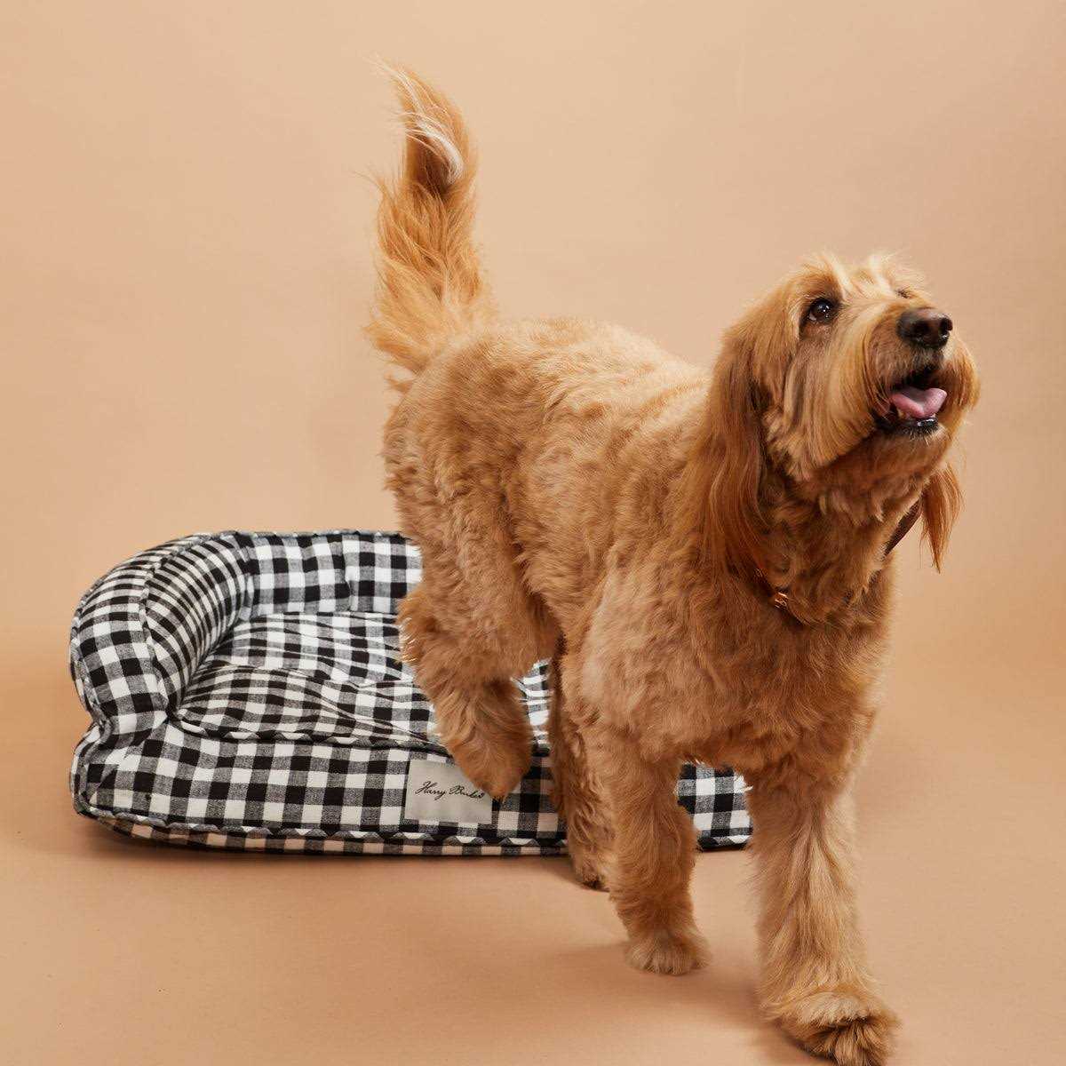 Buffalo Check Lounger Q710166