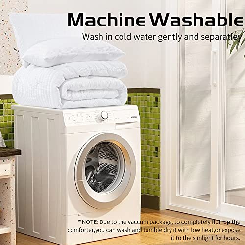 Oversized King White Seersucker Comforter 3 Piece Set L91687