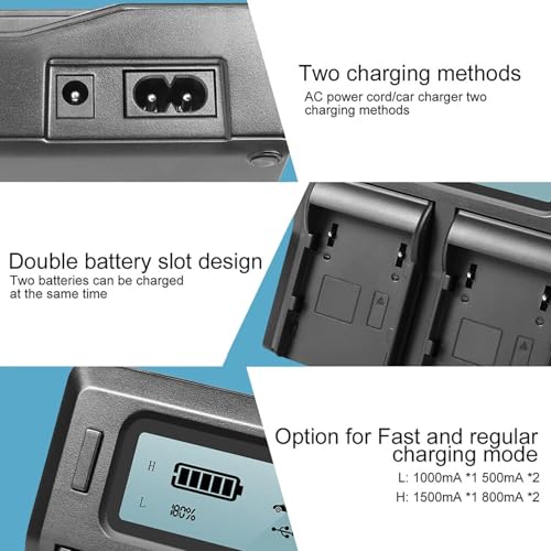 2 Pack NP-T125 Batteries and Dual Bay Battery Charger Z4918