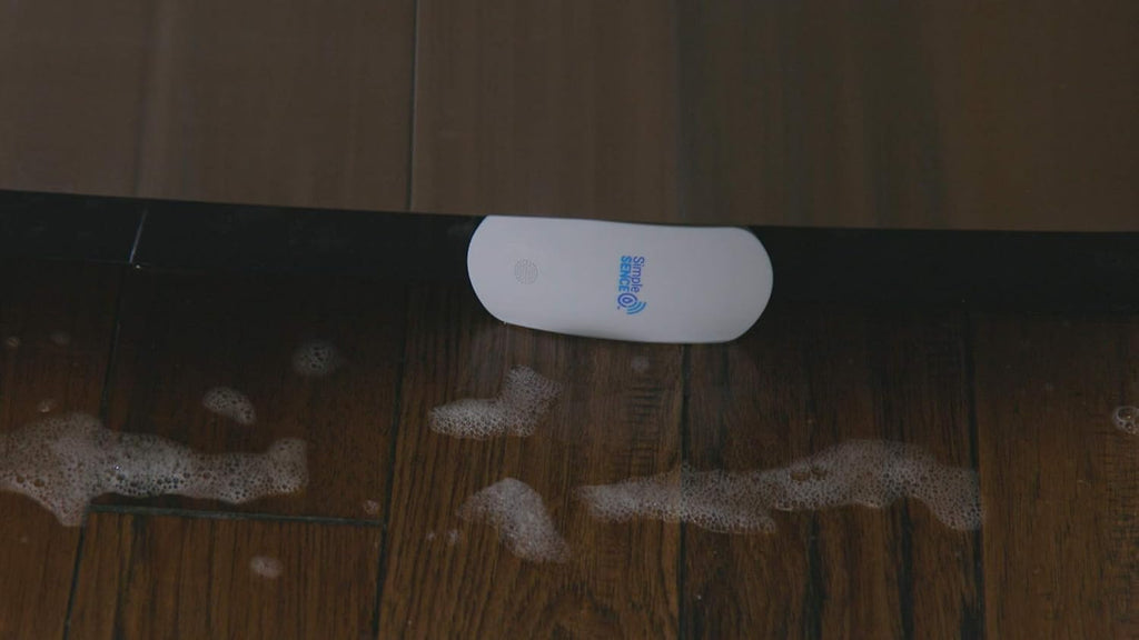 Smart WiFi Water Leak and Freeze Detector with Audible Alarm (1 Pack) K6402