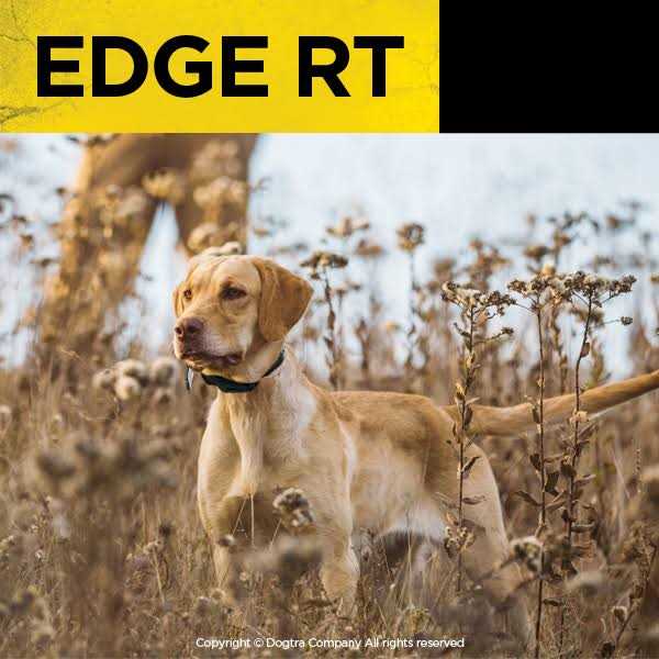 Dogtra EDGE RT G4405